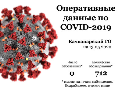 Оперативные данные по ситуации с COVID-19 в Качканаре на 13.05.2020